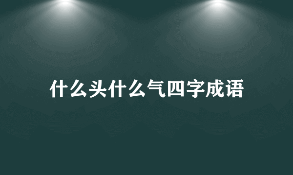 什么头什么气四字成语