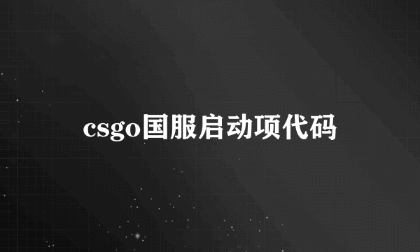 csgo国服启动项代码