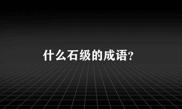 什么石级的成语？