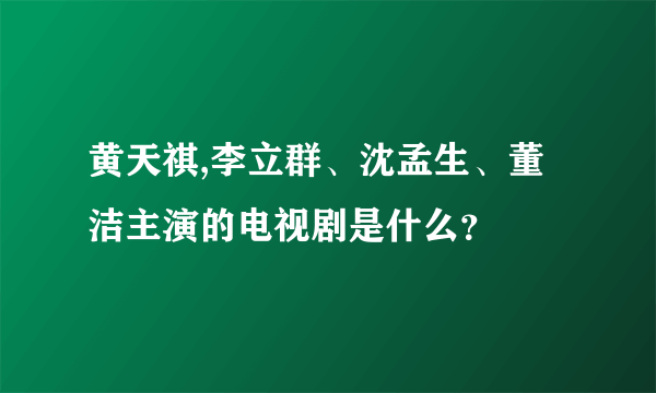 黄天祺,李立群、沈孟生、董洁主演的电视剧是什么？