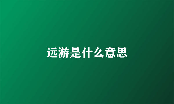 远游是什么意思