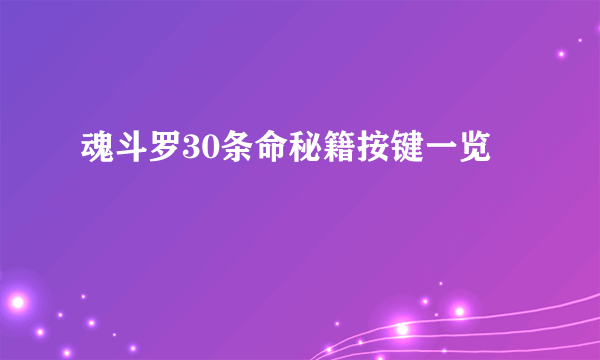 魂斗罗30条命秘籍按键一览