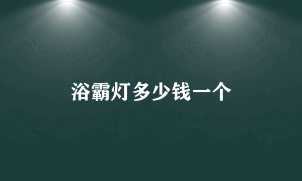 浴霸灯多少钱一个