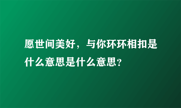 愿世间美好，与你环环相扣是什么意思是什么意思？