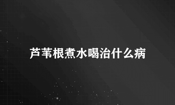 芦苇根煮水喝治什么病