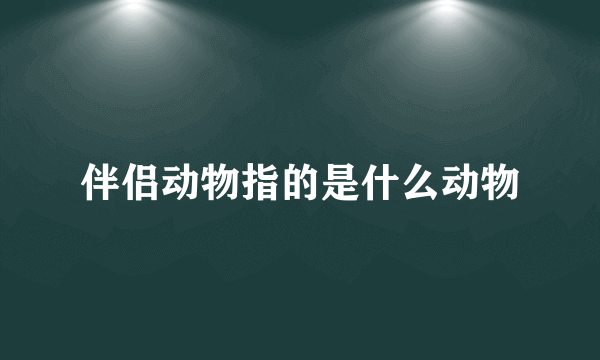 伴侣动物指的是什么动物