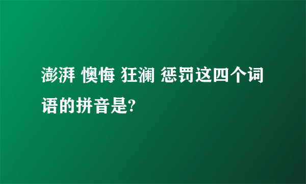 澎湃 懊悔 狂澜 惩罚这四个词语的拼音是?