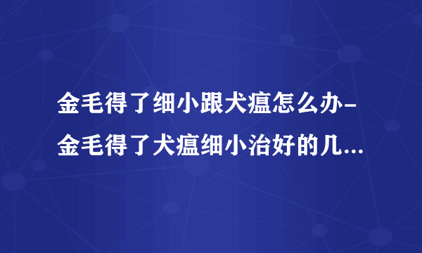 金毛得了细小跟犬瘟怎么办-金毛得了犬瘟细小治好的几率大吗？