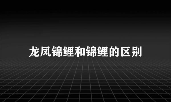 龙凤锦鲤和锦鲤的区别