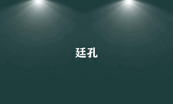 廷孔