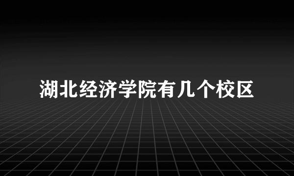 湖北经济学院有几个校区