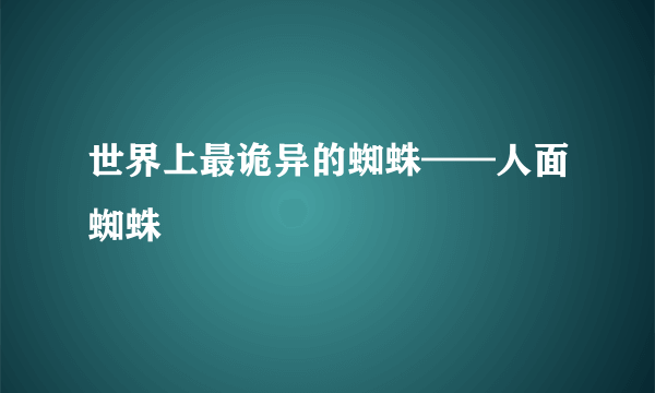 世界上最诡异的蜘蛛——人面蜘蛛