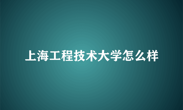 上海工程技术大学怎么样