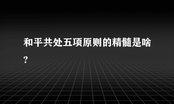 和平共处五项原则的精髓是啥?