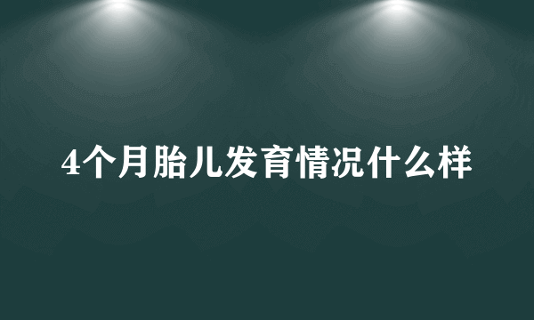 4个月胎儿发育情况什么样