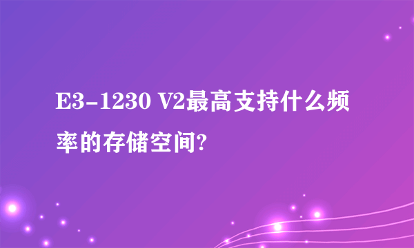 E3-1230 V2最高支持什么频率的存储空间?