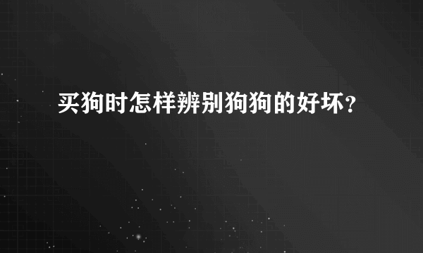 买狗时怎样辨别狗狗的好坏？