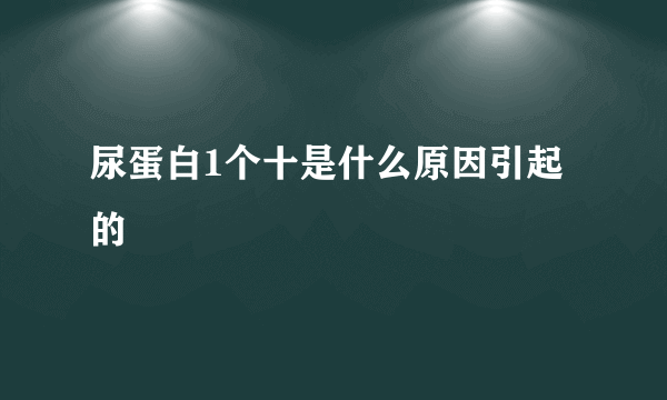 尿蛋白1个十是什么原因引起的