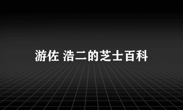 游佐 浩二的芝士百科