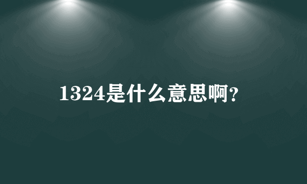 1324是什么意思啊？