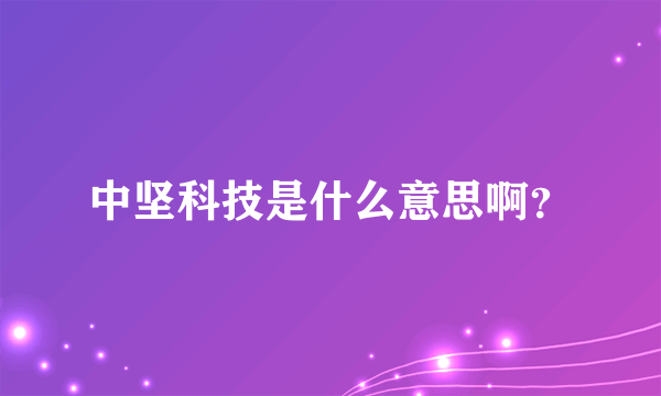 中坚科技是什么意思啊？