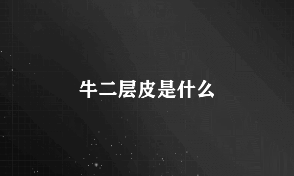 牛二层皮是什么