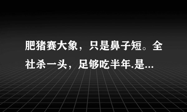 肥猪赛大象，只是鼻子短。全社杀一头，足够吃半年.是什么意思