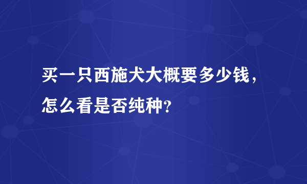 买一只西施犬大概要多少钱，怎么看是否纯种？