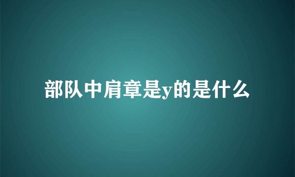 部队中肩章是y的是什么