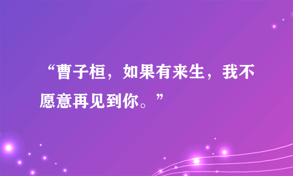 “曹子桓，如果有来生，我不愿意再见到你。”