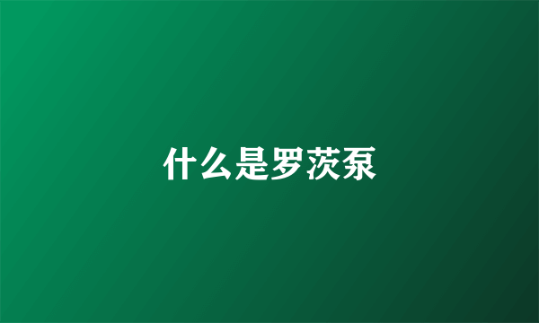 什么是罗茨泵