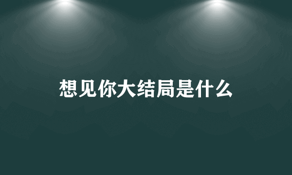 想见你大结局是什么