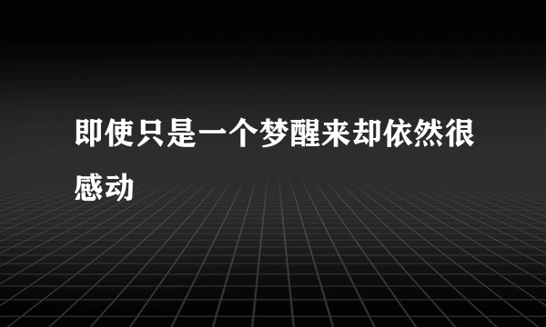 即使只是一个梦醒来却依然很感动