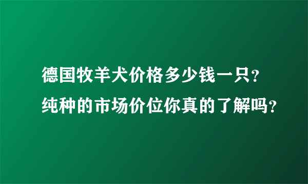 德国牧羊犬价格多少钱一只？纯种的市场价位你真的了解吗？