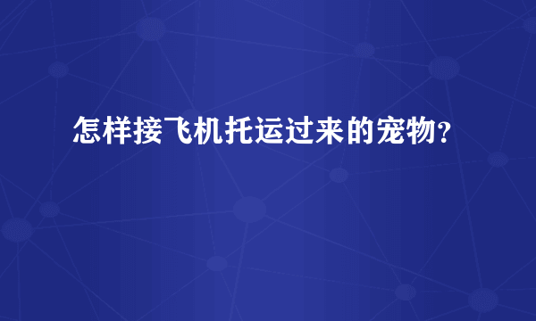 怎样接飞机托运过来的宠物？