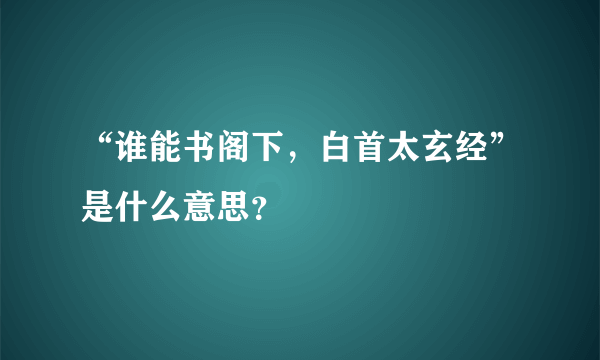 “谁能书阁下，白首太玄经”是什么意思？