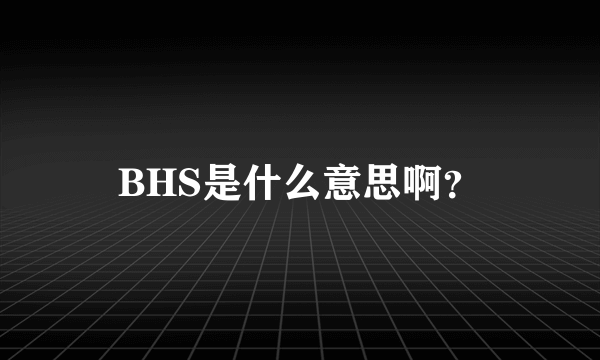 BHS是什么意思啊？