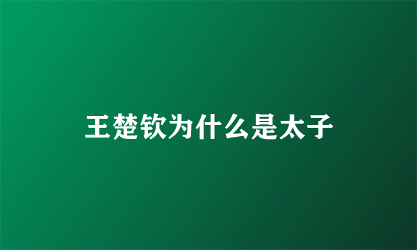 王楚钦为什么是太子