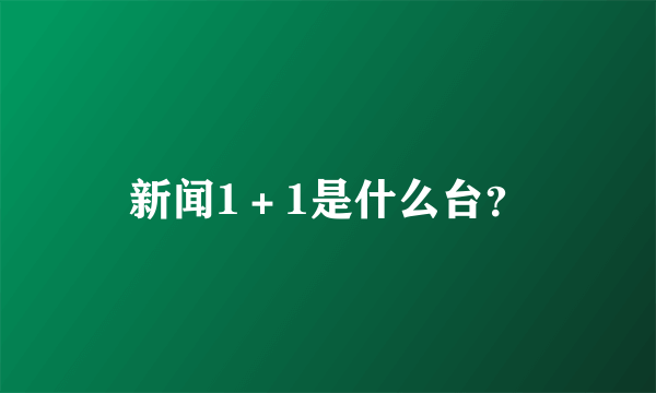 新闻1＋1是什么台？