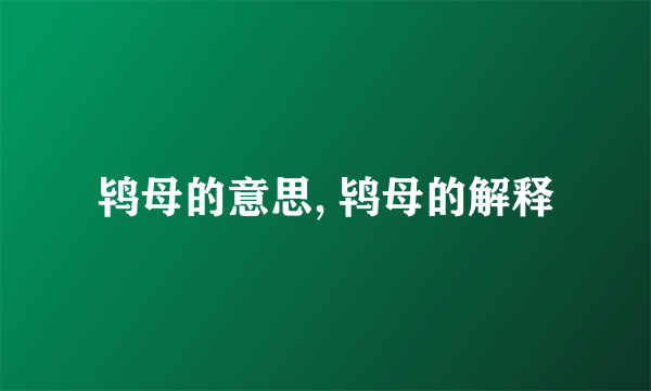 鸨母的意思, 鸨母的解释