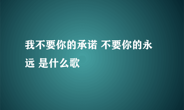 我不要你的承诺 不要你的永远 是什么歌