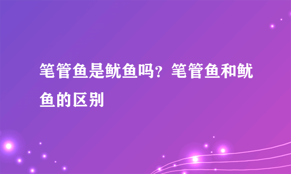 笔管鱼是鱿鱼吗？笔管鱼和鱿鱼的区别