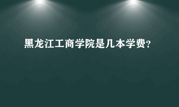 黑龙江工商学院是几本学费？