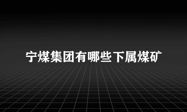 宁煤集团有哪些下属煤矿