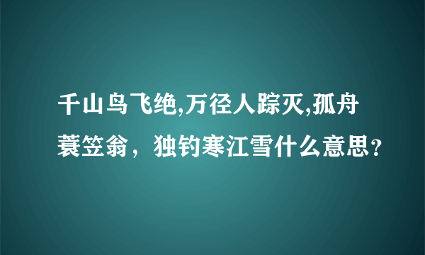 千山鸟飞绝,万径人踪灭,孤舟蓑笠翁，独钓寒江雪什么意思？