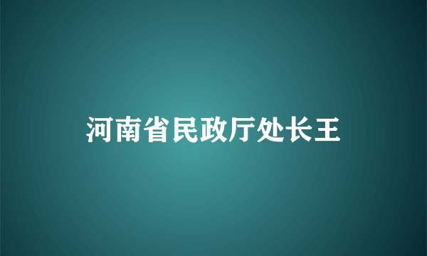 河南省民政厅处长王