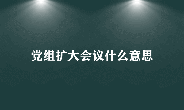 党组扩大会议什么意思