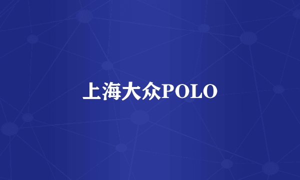 上海大众POLO