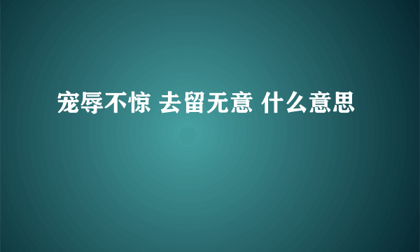 宠辱不惊 去留无意 什么意思