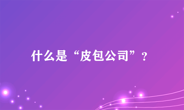 什么是“皮包公司”？